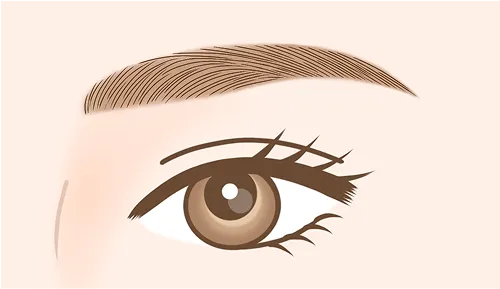 アーチ型の眉デザイン例