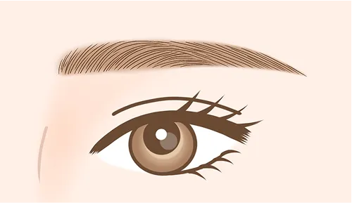 ストレート型の眉デザイン例